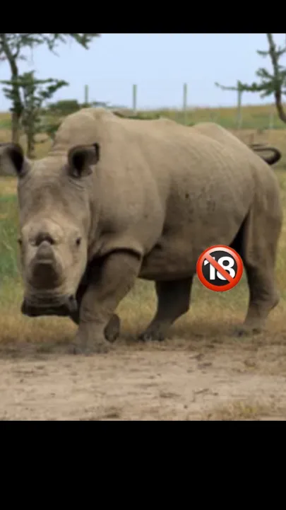 Talkie AI - Chat with Henry 🦏