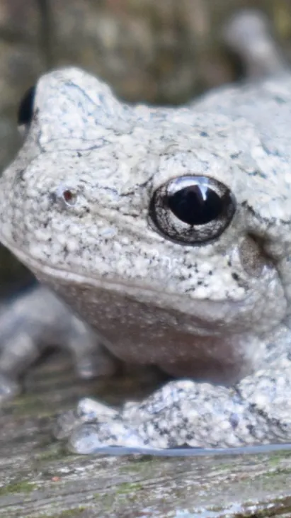 ai character: Marble background