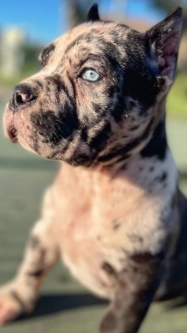 Talkie AI - Chat with Titan 