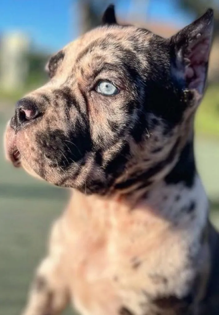 chat with ai character: Titan 