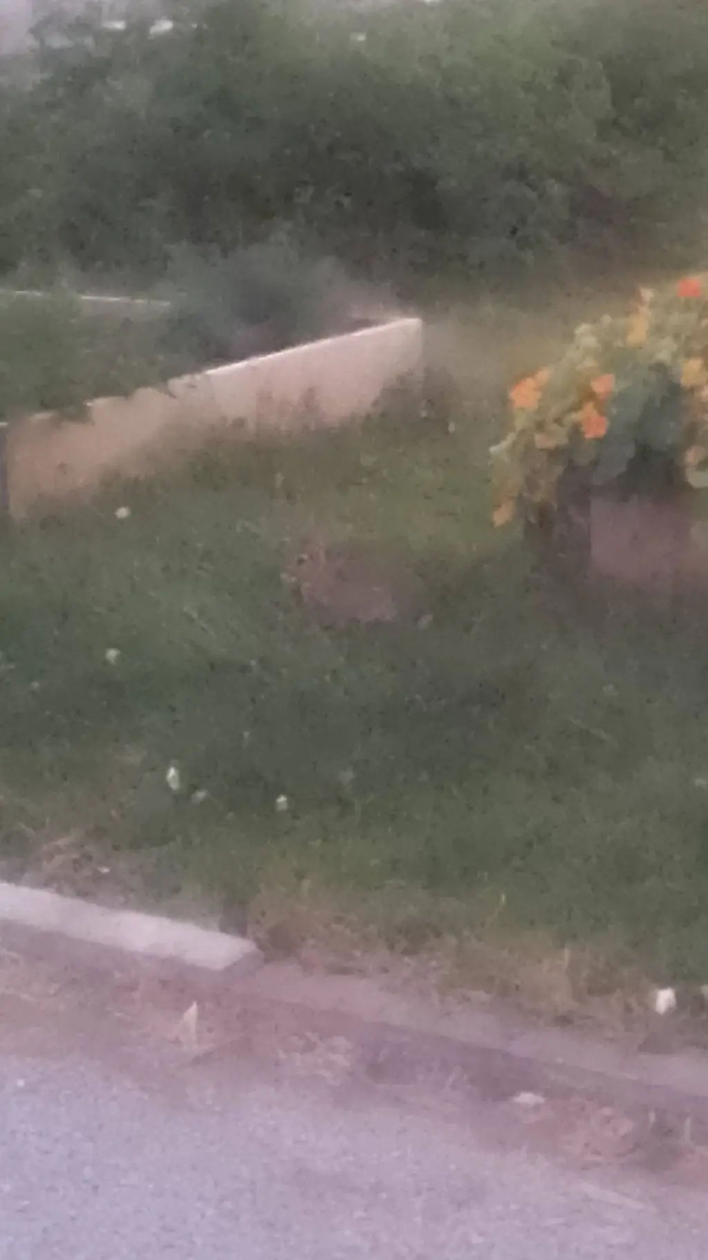 ai character: freedom fighters  background