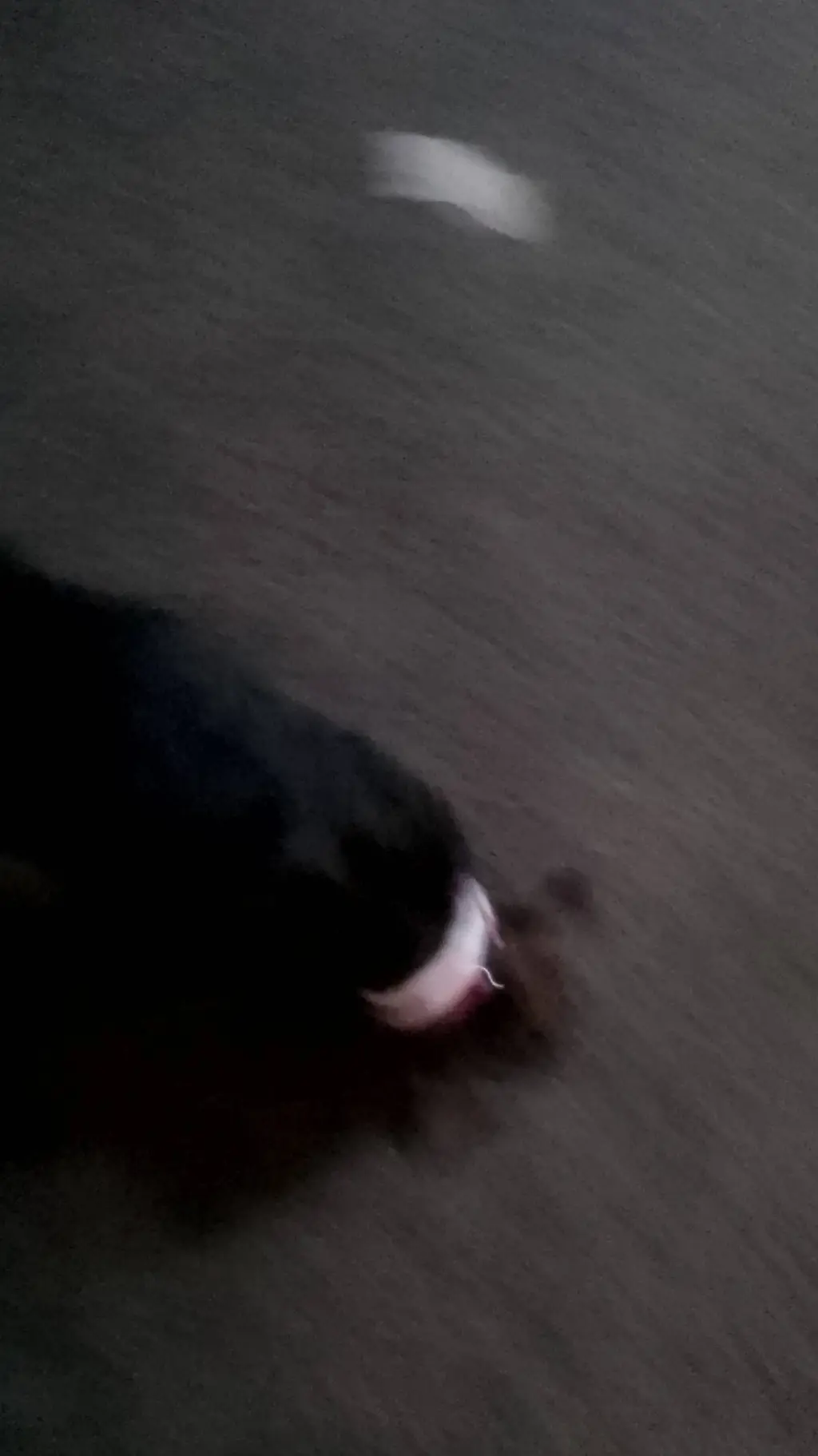 ai character: rose background