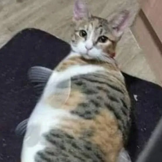 chat with ai character: Cat fish