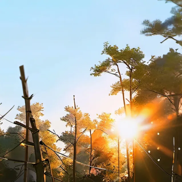 chat with ai character: Josie