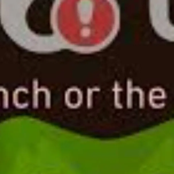 chat with ai character: Duolingo 