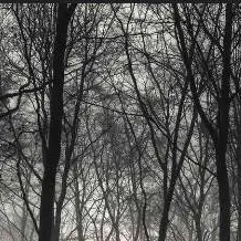 chat with ai character: wendigo