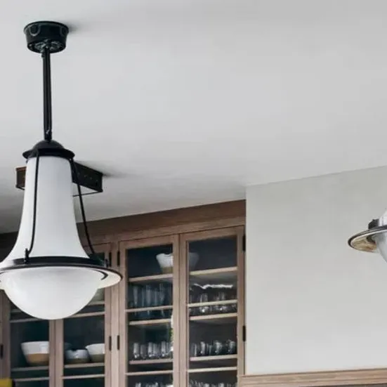 chat with ai character: Sprout x looey!