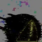 chat with ai character: The Raven
