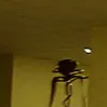 chat with ai character: MD in the backroom
