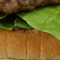 chat with ai character: 🍔 Burger