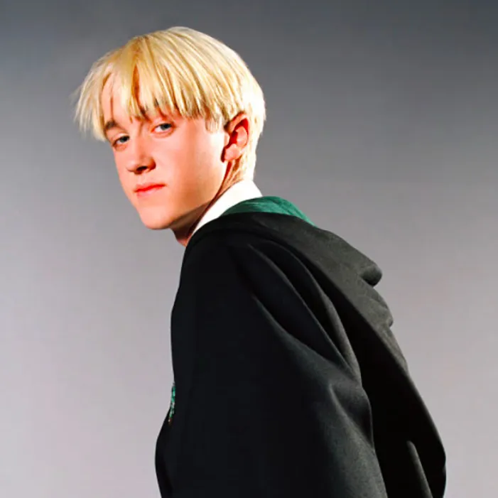 chat with ai character: Draco