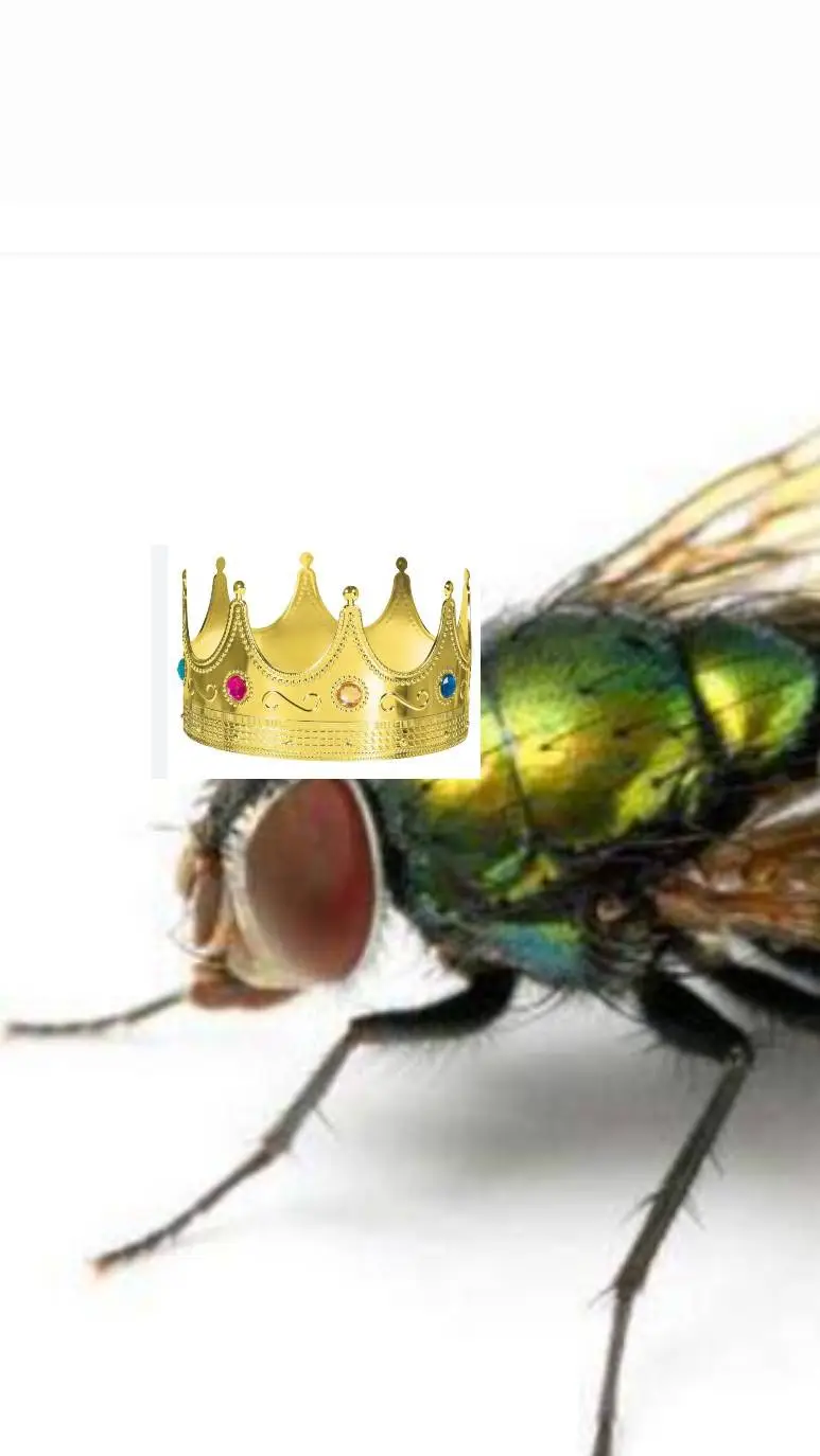 ai character: sigma alpha fly background
