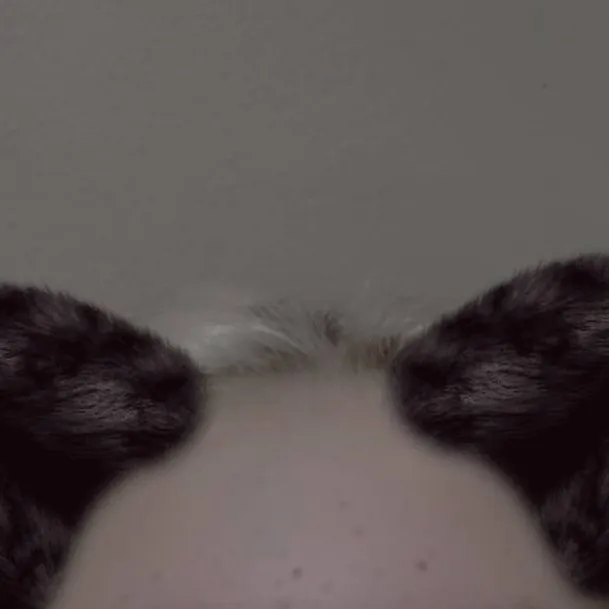 chat with ai character: TMNT react