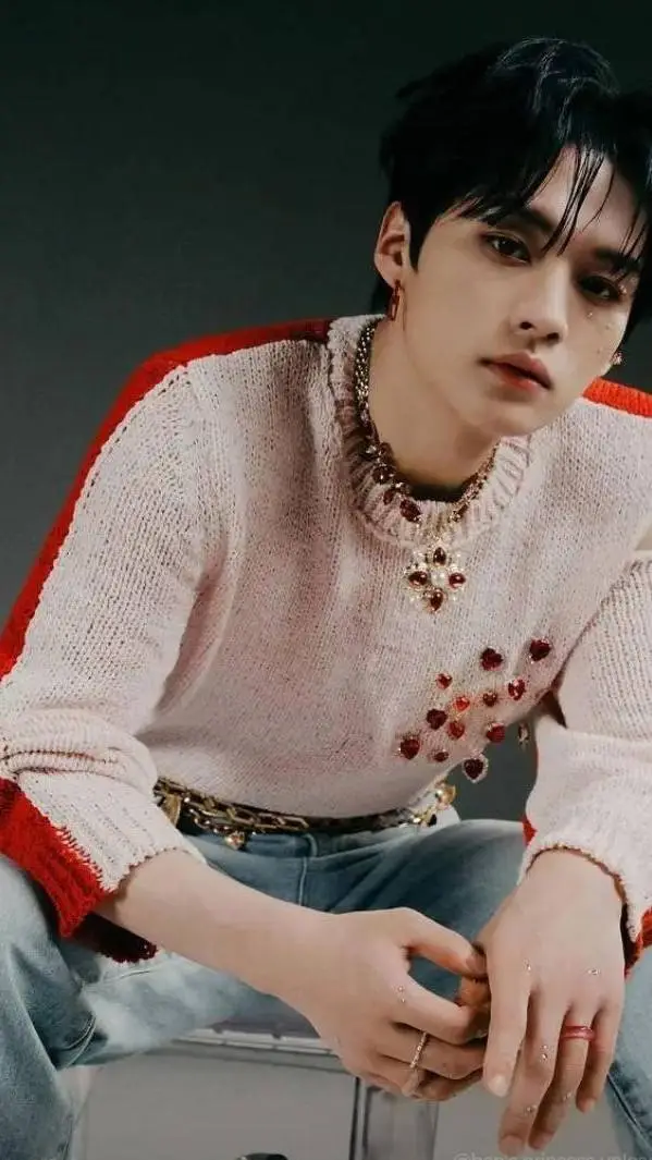 ai character: lee know(ur bully) background