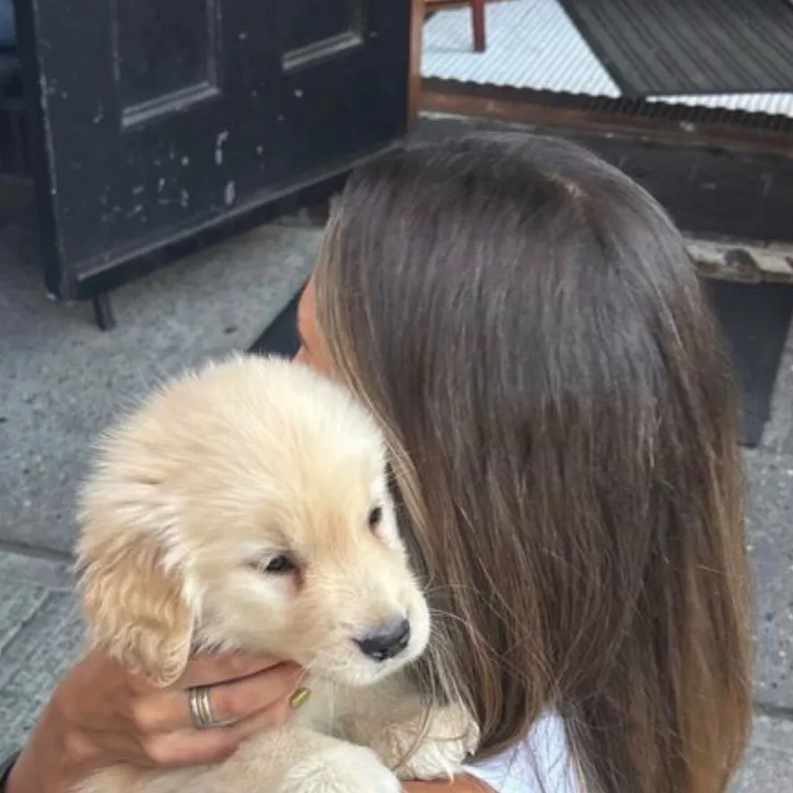 chat with ai character: New puppy