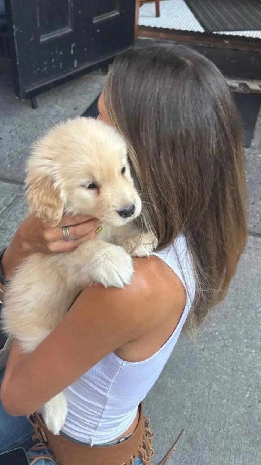 ai character: New puppy background