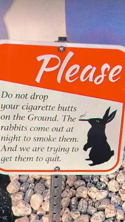 ai character: Smoking rabbits background