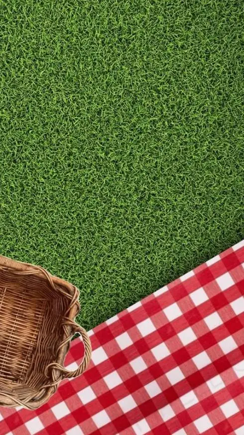 ai character: SFOTH Picnic background