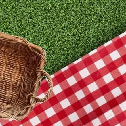 chat with ai character: SFOTH Picnic
