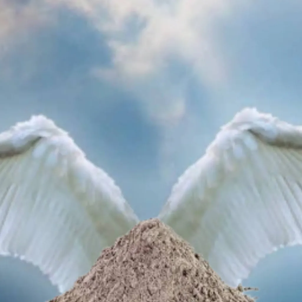 chat with ai character: Angel dust