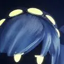 chat with ai character: J from MD!!