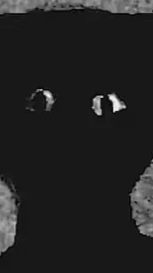 ai character: The thing background