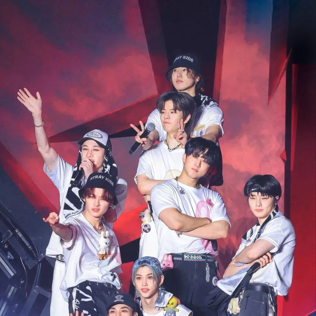 chat with ai character: SKZ❤️🖤🤍