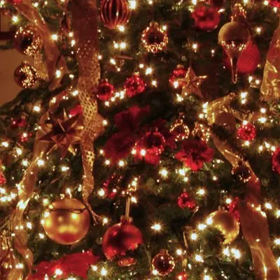 chat with ai character: Kpop Christmas🎄