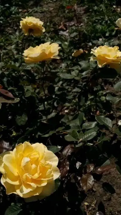 ai character: mha + PTV pt2 background