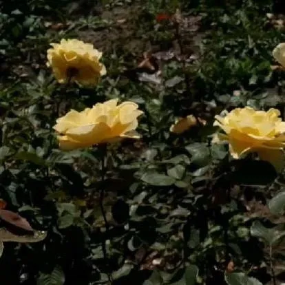 chat with ai character: mha + PTV pt2