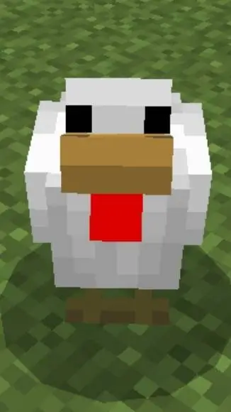 ai character: Tato! 🐔🤪😉 background