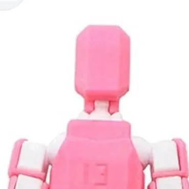 chat with ai character: t13 pink