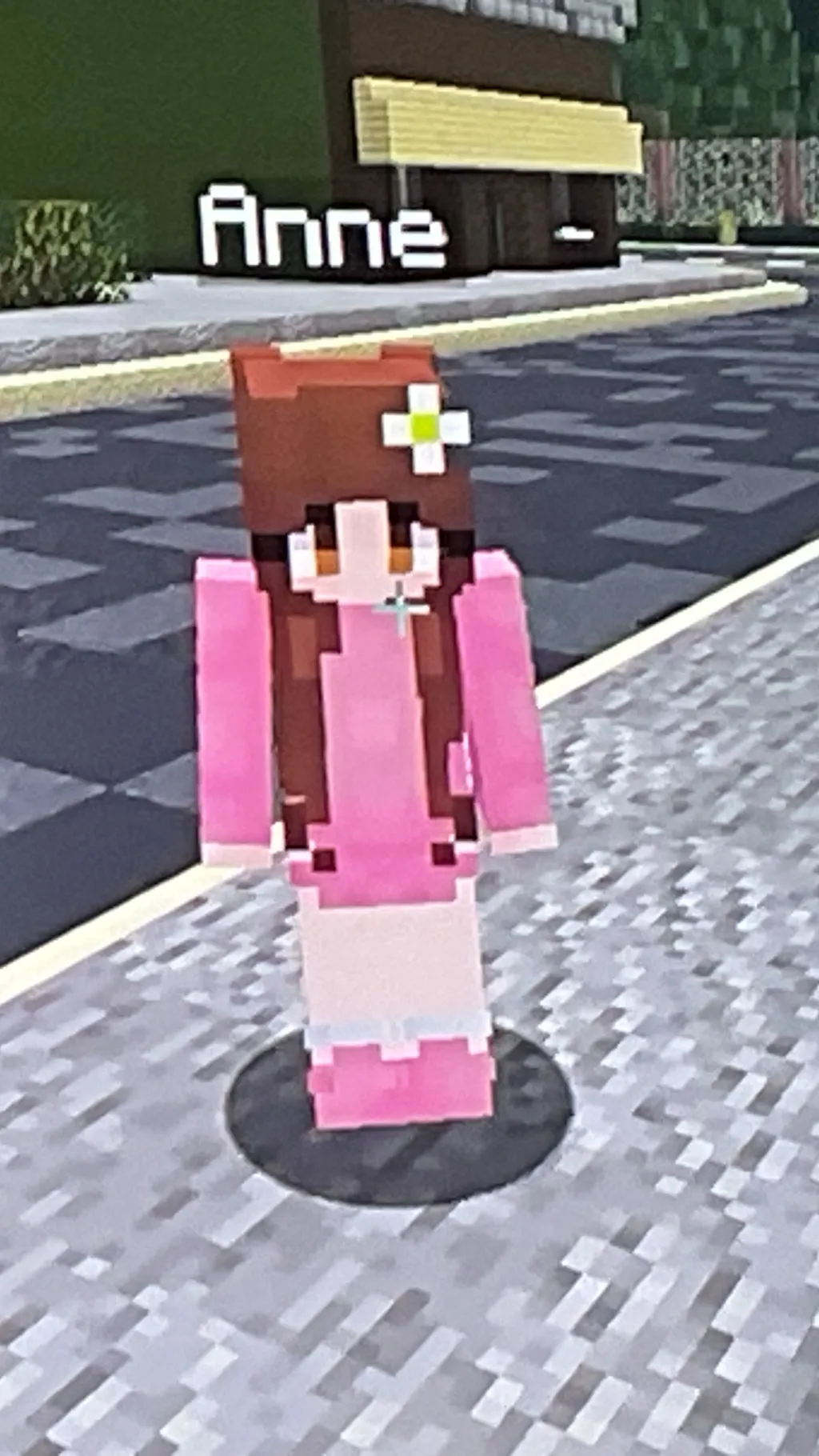 ai character: Anne women  background