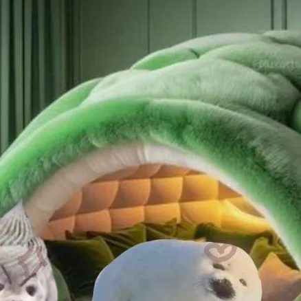chat with ai character: seal bed! or house