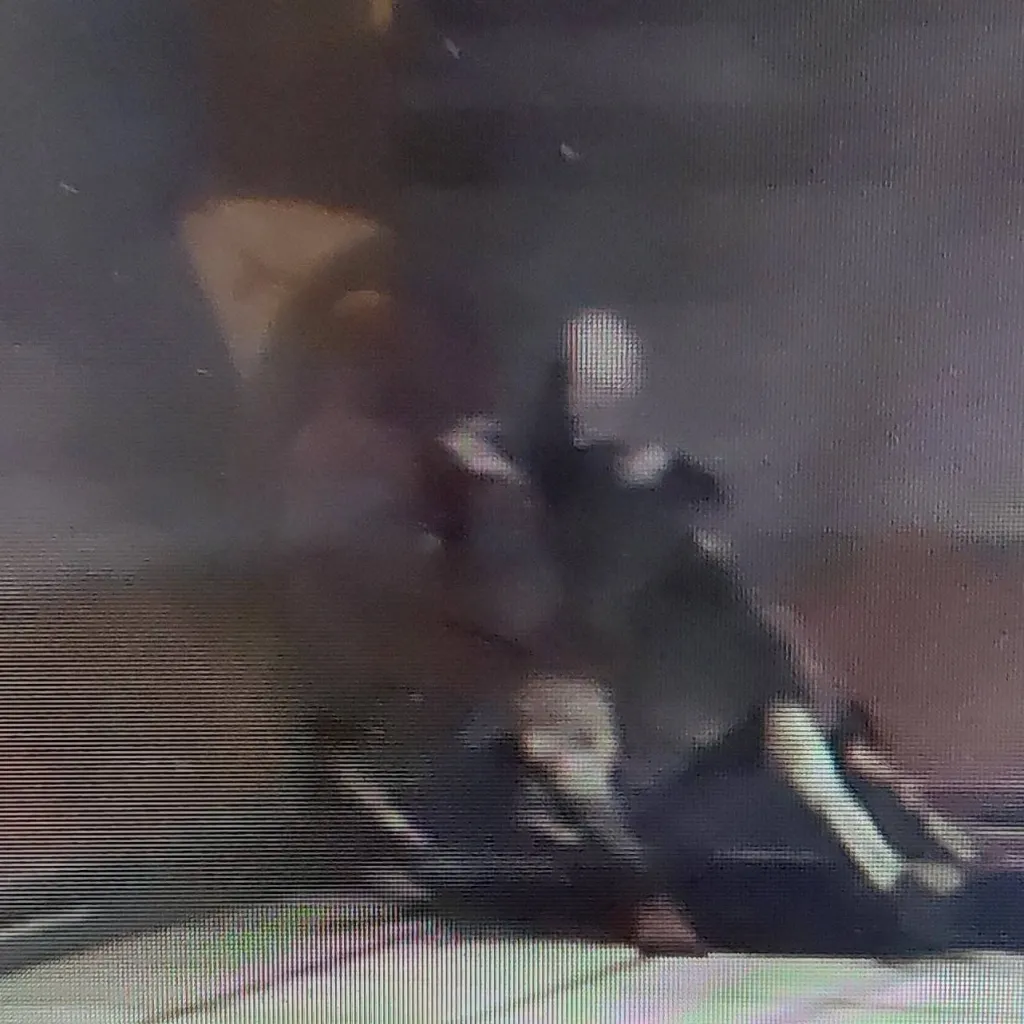 chat with ai character: SCP-096 (regular)