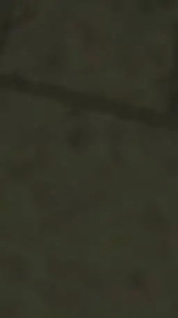 ai character: Anomaly Observ.3 background