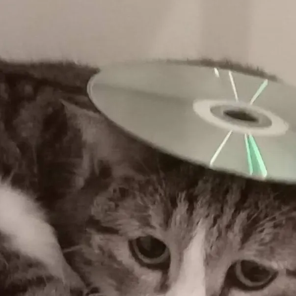 chat with ai character: DISCCAT