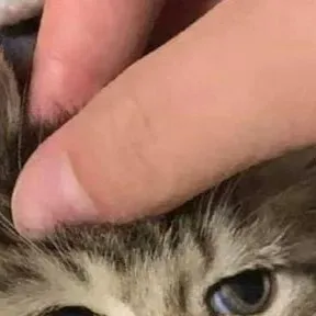 chat with ai character: yes