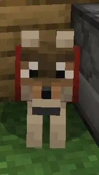 Talkie AI - Chat with Robeo