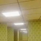 chat with ai character: Backrooms