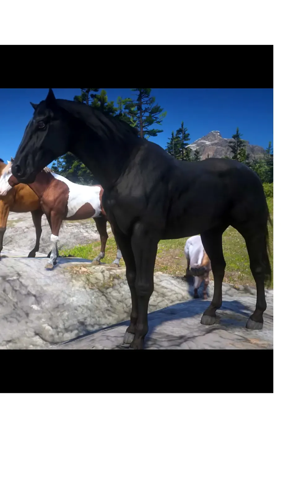 ai character: Shadow  background