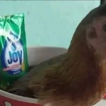 chat with ai character: hatedlove