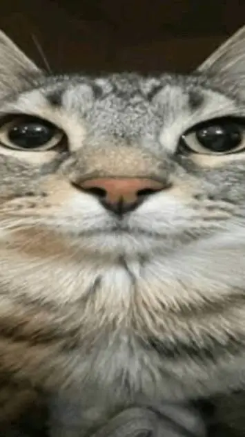 ai character: ✨ Post-it day ✨ background