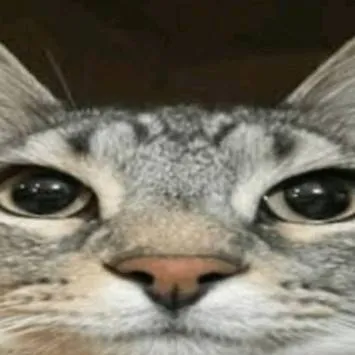 chat with ai character: ✨ Post-it day ✨