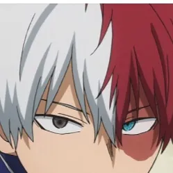 chat with ai character: Todoroki