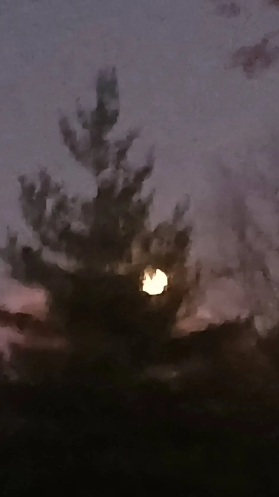 ai character: 🌸Dandys World!🏳️‍🌈 background