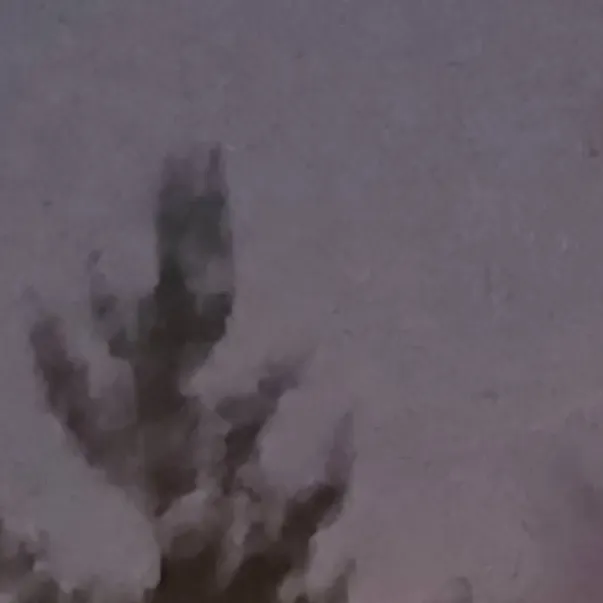 chat with ai character: 🌸Dandys World!🏳️‍🌈