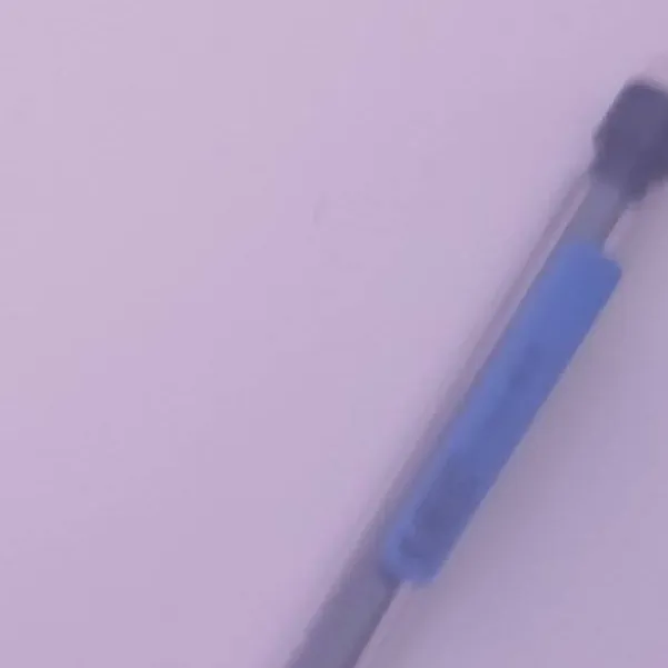 chat with ai character: 🌸 - DANDYS - WORLD