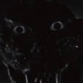 chat with ai character: goji1954 horror