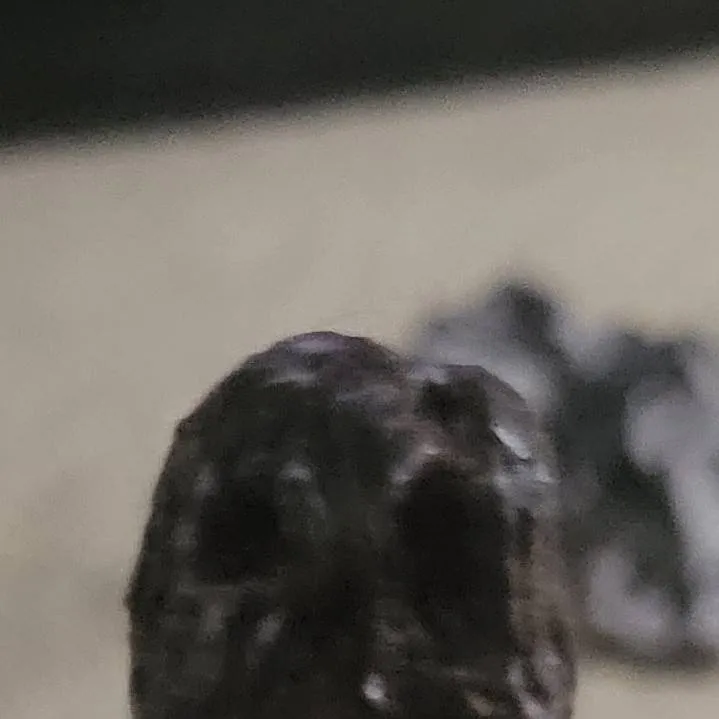 chat with ai character: funny sounding ai